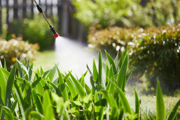 24/7 Emergency Mosquito Control experts in Fulda, MN